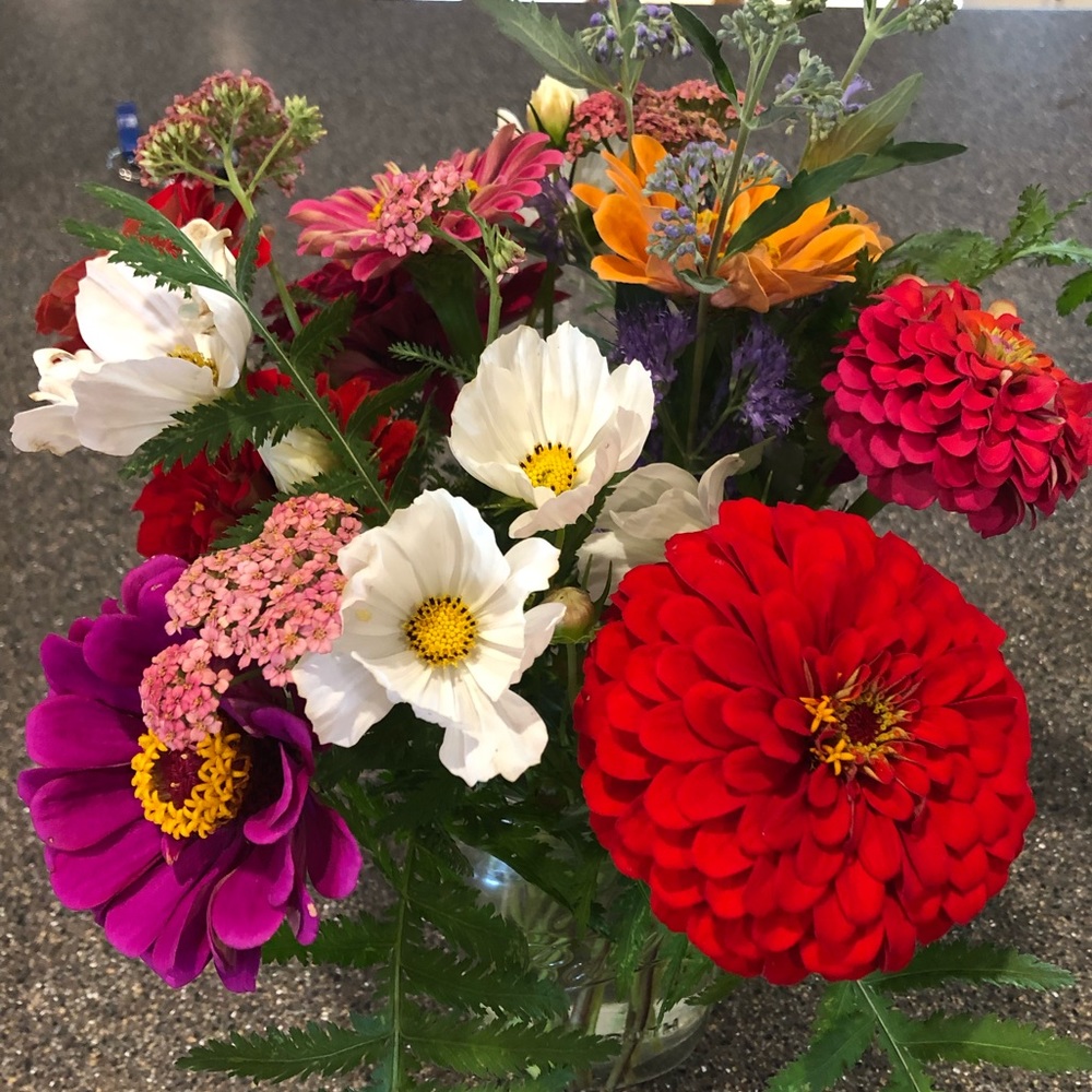 Meet your Posher, Paula